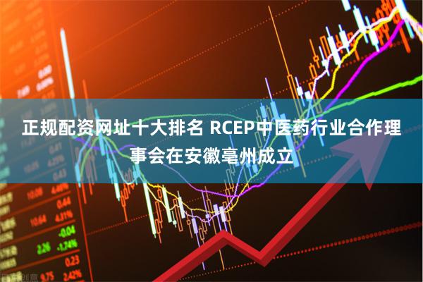 正规配资网址十大排名 RCEP中医药行业合作理事会在安徽亳州成立