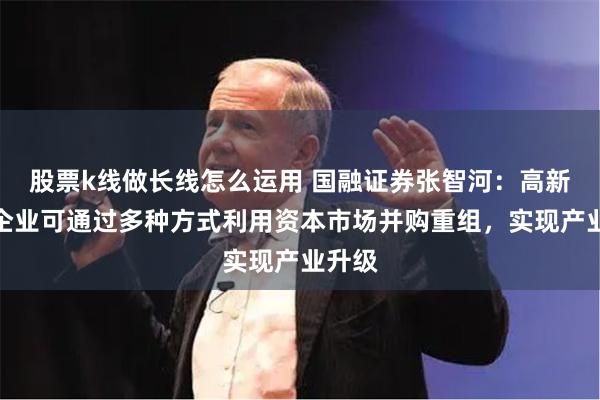 股票k线做长线怎么运用 国融证券张智河：高新技术企业可通过多种方式利用资本市场并购重组，实现产业升级